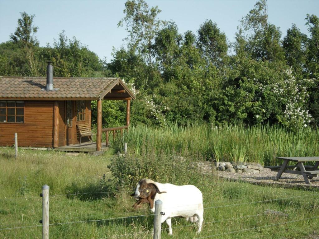 Lille Degnbol Villa Exterior photo